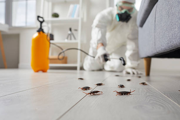 Commercial Kitchen Cockroach Control in Bloomsburg